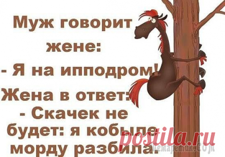 ВЕСЕЛЫЕ АНЕКДОТЫ В КАРТИНКАХ)