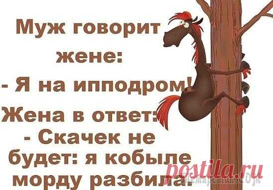 ВЕСЕЛЫЕ АНЕКДОТЫ В КАРТИНКАХ)