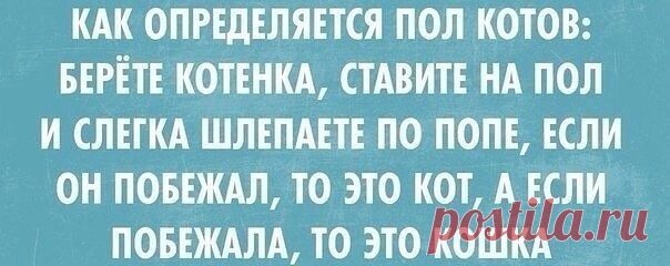 (2) Одноклассники