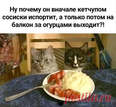 543bb61f.jpg (489×450)