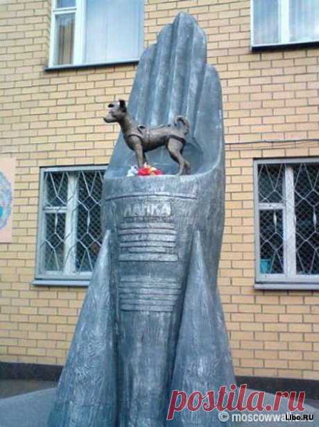 . Памятник Лайке (1954 — 3 ноября 1957) — советской собаке-космонавту, первому животному, выведенному на орбиту Земли. Была запущена в космос 3 ноября 1957 года в половине шестого утра по московскому времени на советском корабле «Спутник-2». На тот момент Лайке было около двух лет, и вес — около 6 килограммов.
Возвращение Лайки на Землю не планировалось. Как и многие другие животные в космосе, собака погибла во время полёта — через 5-7 часов после старта она умерла от стресса и перегрева