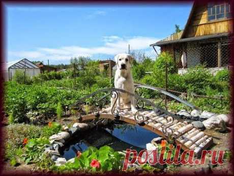 ДЕКОРАТИВНЫЕ МОСТИКИ В ЛАНДШАФТНОМ ДИЗАЙНЕ УЧАСТКА ...   --- &gt;   dachanaudachu.blogspot.ru/2015/01/blog-post_25.html