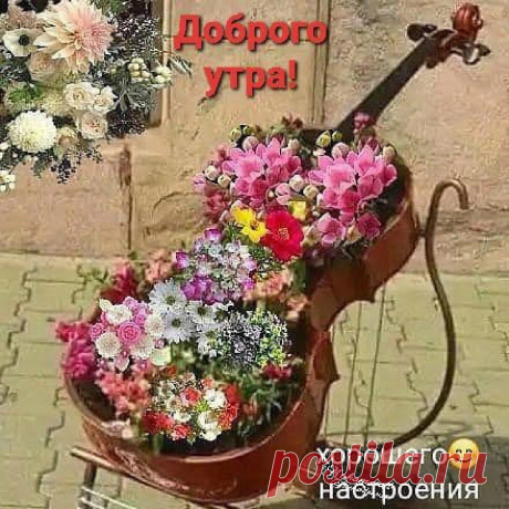 доброе утро