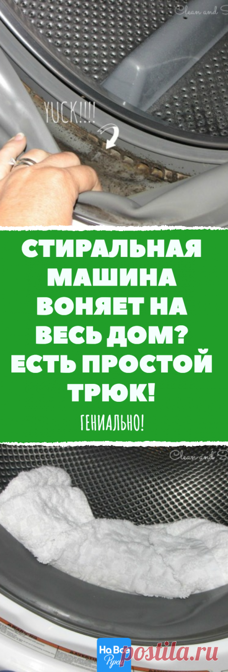 Как избавиться от плесени в стиральной машине