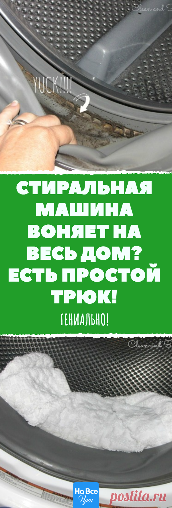 Как избавиться от плесени в стиральной машине