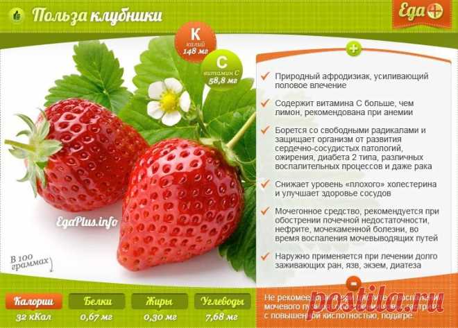 Польза клубники