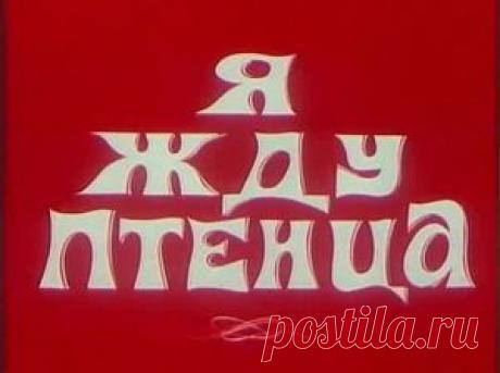 Мультфильм &quot;Я жду птенца&quot; - смотреть легально и бесплатно онлайн на MEGOGO.NET