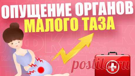 Упражнения при опущении органов малого таза | ЛФК | ЛФК каждый день! | Дзен