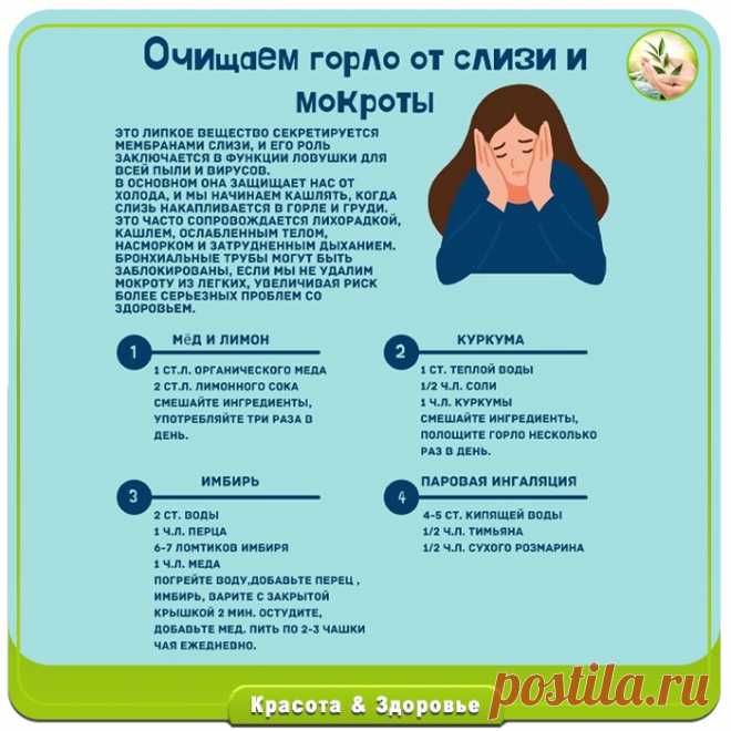 ND5mJQ-yJjm7PMsar4fVWEUozg6STH6g03Pjr7UCbhC6ndfZULIrOkB2_vzFGArtjRMcvXoclPlr6FPNWC_OzPsP.jpg (700×700)