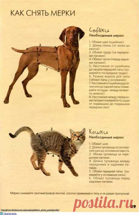 Одежда для кошек и собак. СВ газеты &quot;Вязаный креатив&quot; №1 2011г.