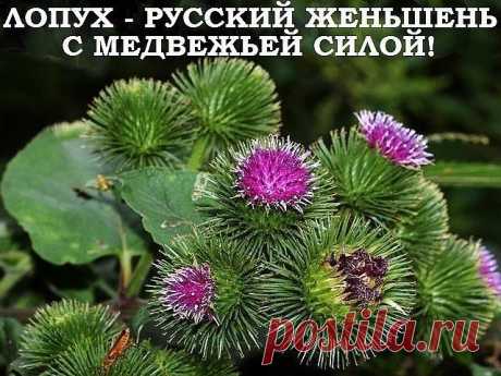 Одноклассники