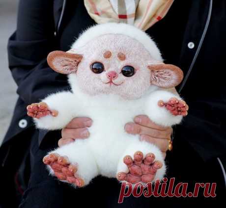 Мексиканский глазоух!