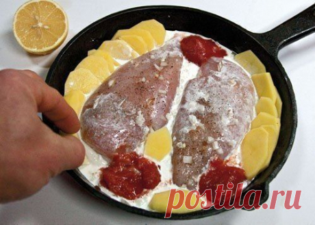 Куриные грудки, запеченные в сливках под сыром