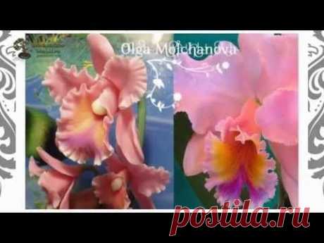 Цветочная феерия из холодного фарфора от Ольги Молчановой