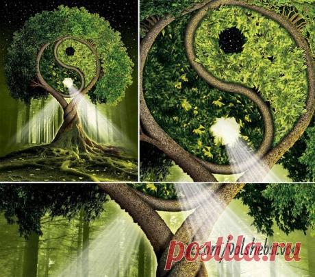 СОВЕТЫ ВОСТОЧНОЙ МЕДИЦИНЫ