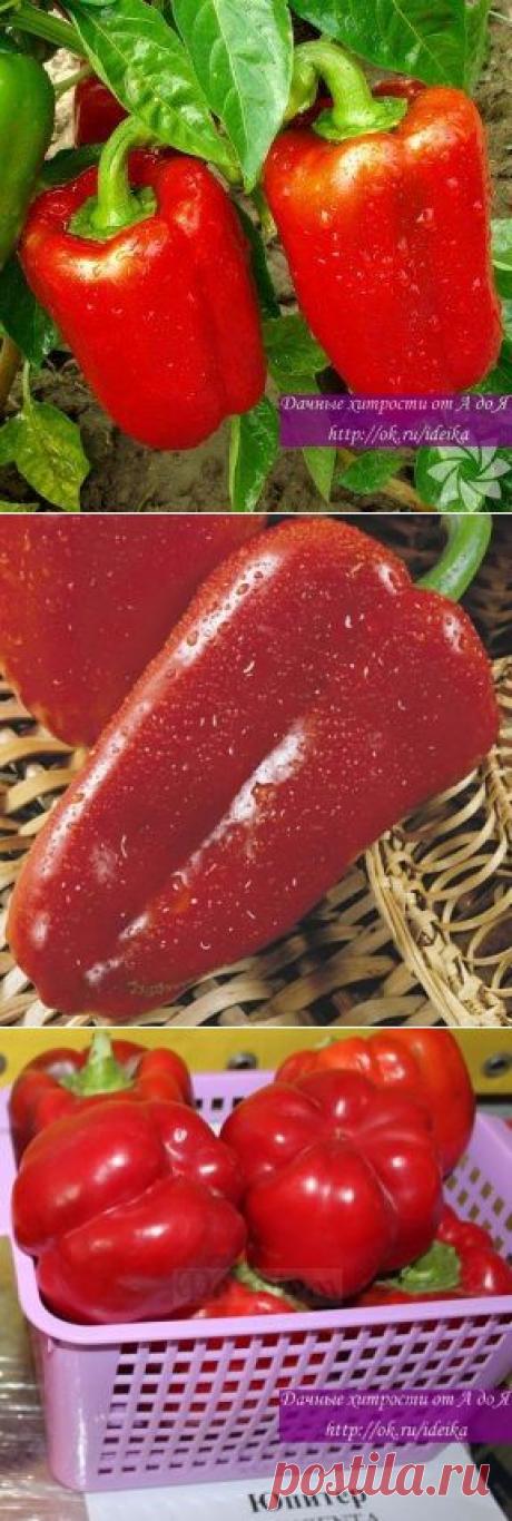 Одноклассники