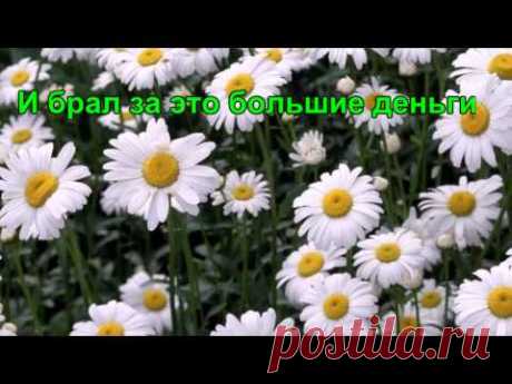 Легенды о цветах Ромашка