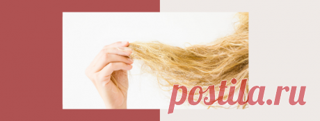 Хрустят волосы... | ИНКУБАТОР ВОЛОС | Яндекс Дзен