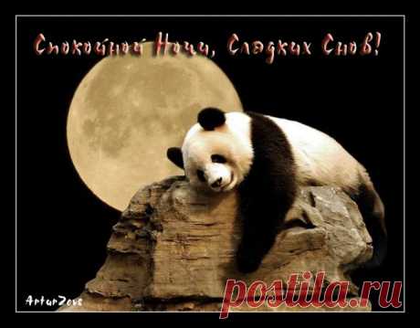 СПОКОЙНОЙ НОЧИ