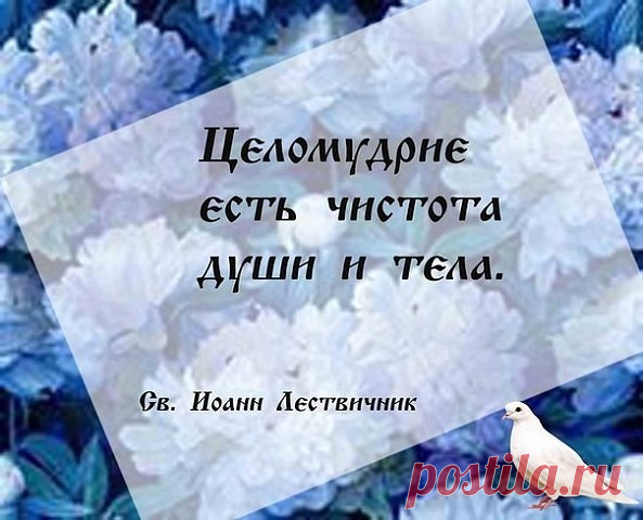 Целомудрие — это не строгость, а нежность, направленная внутрь. Это способность беречь себя и видеть в людях душу. Пусть этот день напомнит, как важно быть настоящим.
Открытки на День целомудрия.