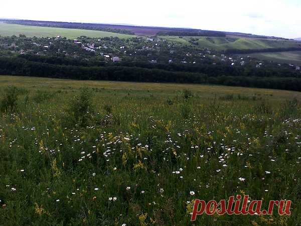 Шесть способов вылечить насморк народными средствами. | КУБЫШКА | Яндекс Дзен