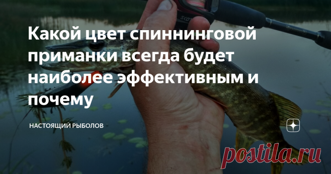 Какой цвет спиннинговой приманки всегда будет наиболее эффективным и почему Кто-то  больше отдает предпочтение так называемым кислотным расцветкам, другой стремится использовать что-то более натуральное и похожее на расцветки настоящих рыб. Но лучший...