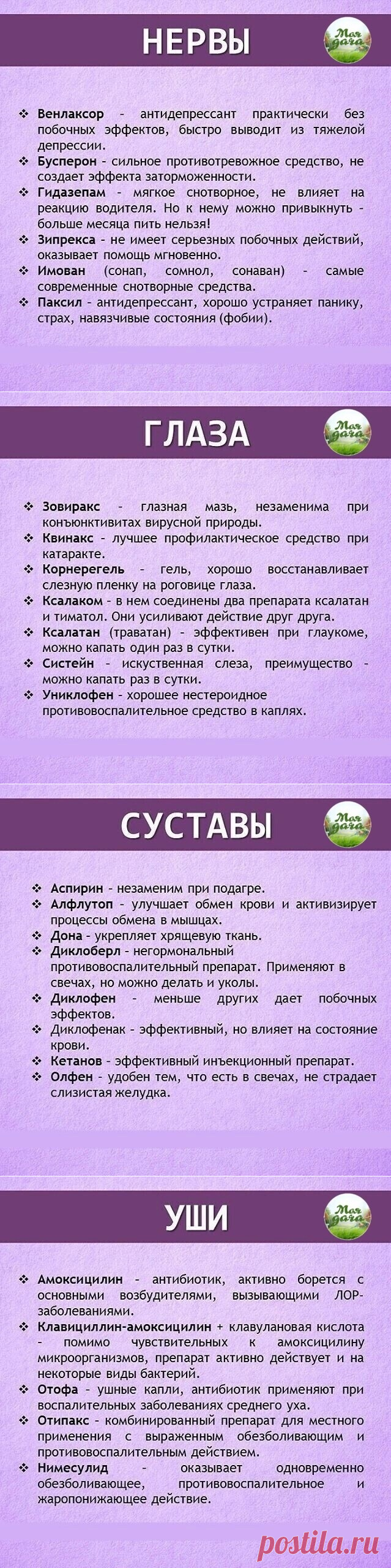 (1) Одноклассники