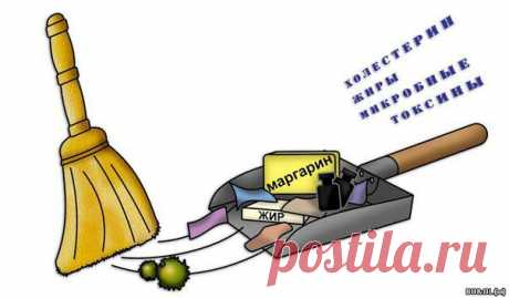 &quot;Коралловый Клуб&quot;