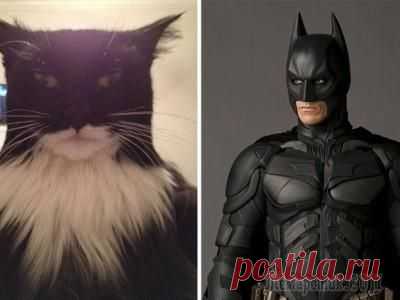 56 примеров забавного и неожиданного сходства