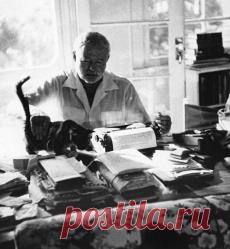 50 поразительных фактов о котиках | Давай поговорим