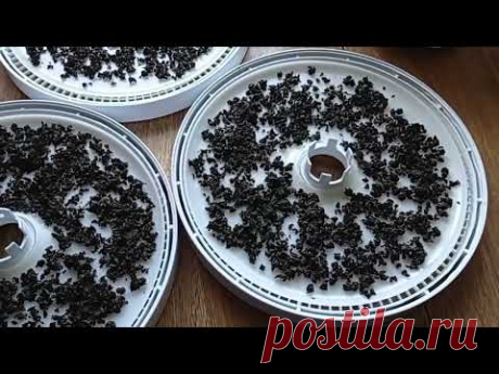 Как я делаю ФЕРМЕНТИРОВАННЫЙ ЧАЙ из ЛИСТЬЕВ ВИШНИ.