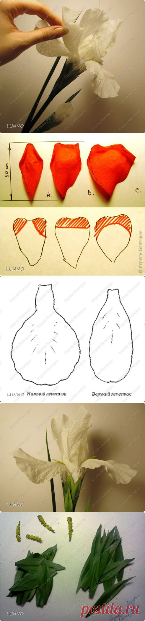 Цветы из креповой бумаги рукодельницы LUNNO — Делаем руками