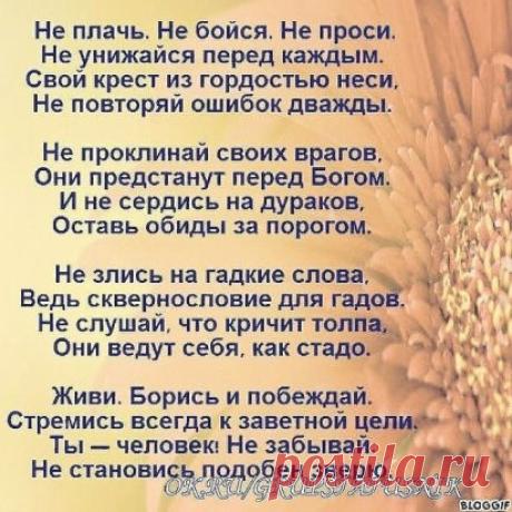Красота! Понравилось))
★★★★★★★★★★★★★★★★★★★★★★★★★★★★★★★★★★★★★★★★★★★
