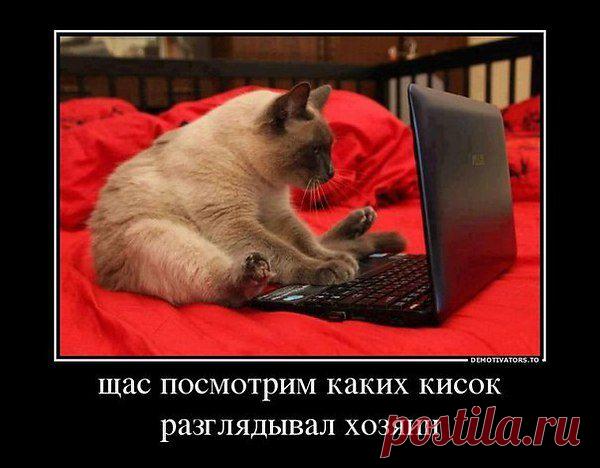 marina: bezdeljni4aju,delaju to,4to xo4etsja,ili ni4ego.