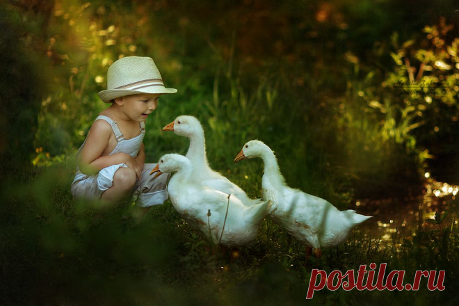 35PHOTO - Наталья Законова - Гусята.