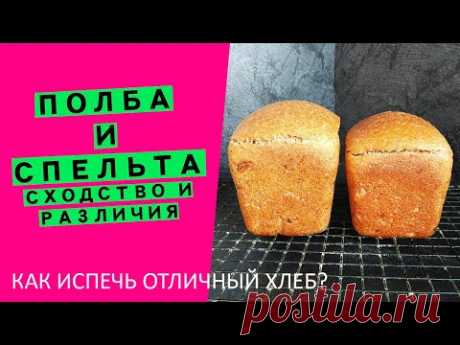 Полба и Спельта: разница и сходство | Как испечь идеальный хлеб?