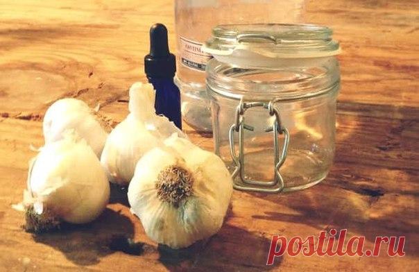 Чеснок и вода спасли меня от «букета» болезней.  

Рецепт, который дала бабулька на рынке 

Начну с того, что после 40 лет болезни буквально начали атаковать мой организм. Я стала очень уставать, ноги отекали, часто донимала тошнота, даже если поела только овсянку на воде. Постоянно плохое самочувствие и одышка были моими спутниками, что, в общем-то, неудивительно при моем весе в 90 кг (рост 165 см).
Показать полностью…