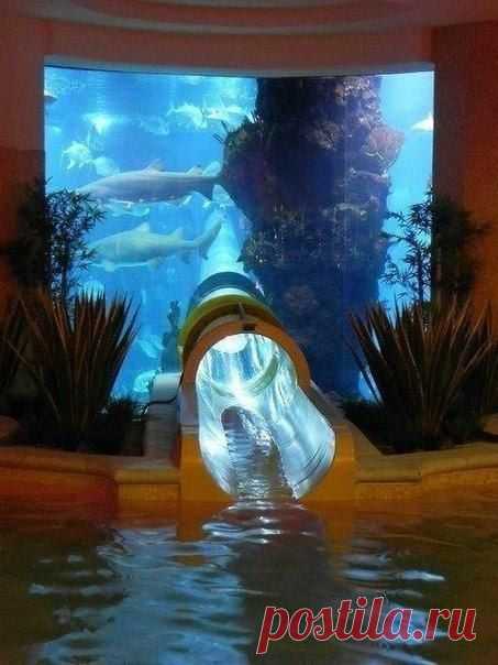 Водная горка, проходящая сквозь огромн / Занимательная реклама