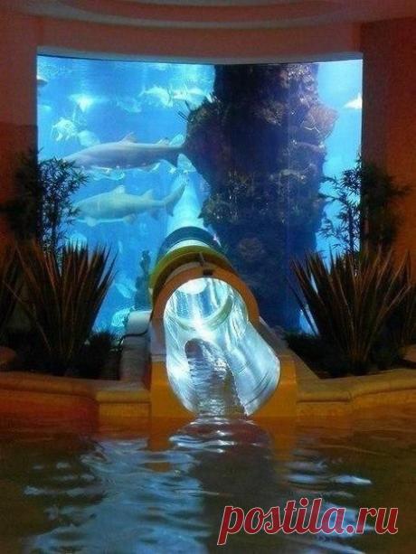 Водная горка, проходящая сквозь огромный аквариум с акулами