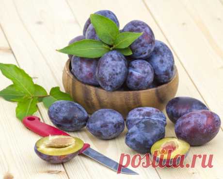 Как превратить урожай слив в зимнее сливовое богатство