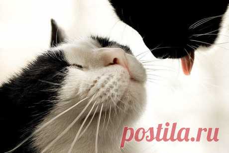 Ну, поЦелуй же меня!!!