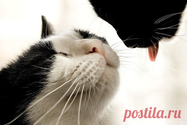 Ну, поЦелуй же меня!!!