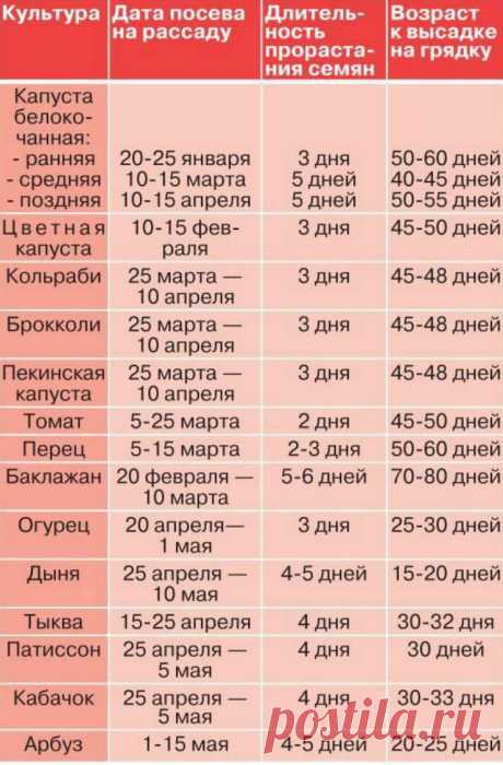 Наш сад и огород. - група на Садоводы и дачники