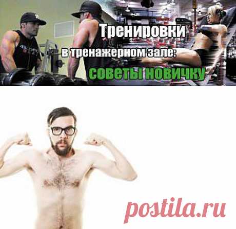 Программа тренировок для новичков | Sport My Way | Sport - My Way