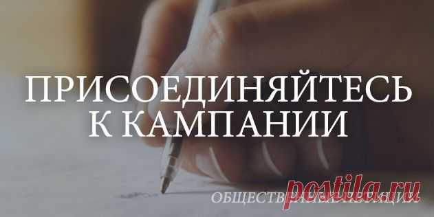 UN ООН: Мы призываем признать президента Украины П.Порошенко военным преступником.