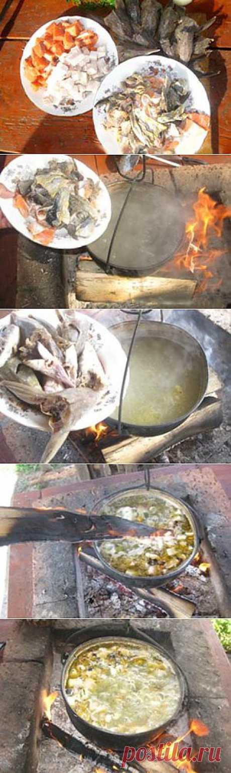 Царская уха рецепт с фото, как приготовить.