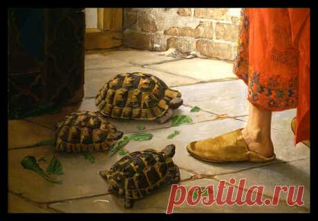 найти картину турецкого художника повелитель или воспитатель черепах: 8 тыс изображений найдено в Яндекс.Картинках