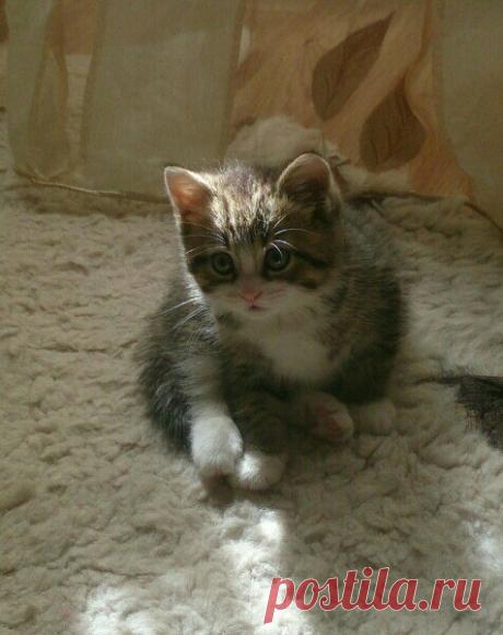 Умный дом. Полезные советы!