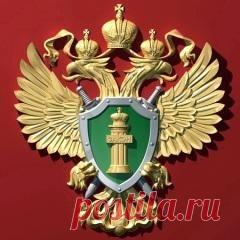 Сегодня 12 января отмечается 