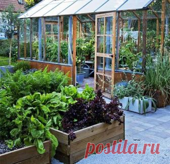 Организуйте грядки совершенно новым способом